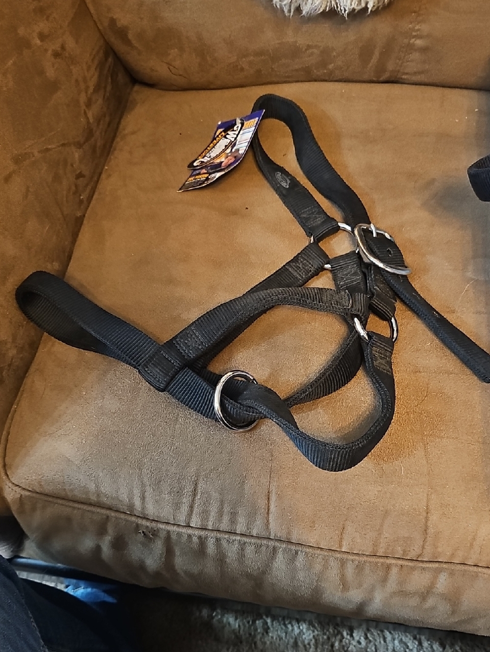Black Nwt Large Cow Halter